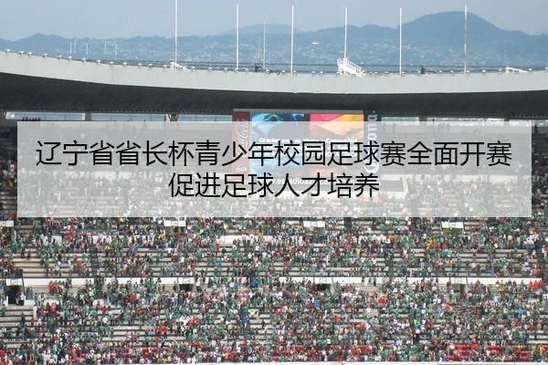 辽宁省省长杯青少年校园足球赛全面开赛促进足球人才培养